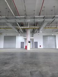 Ct Foodnex (D25), Factory #596863071